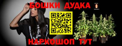 прущие крисы Бийск