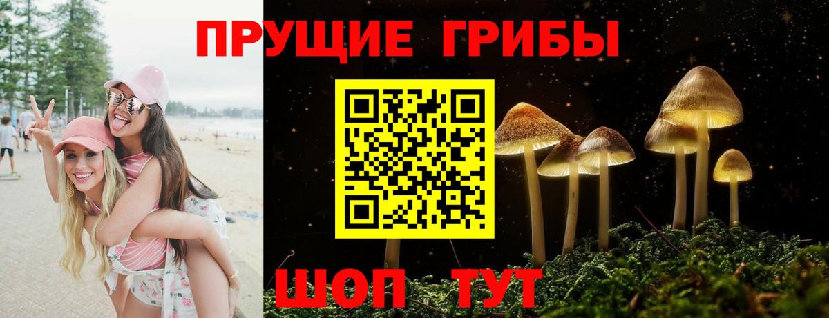 Галлюциногенные грибы Psilocybine cubensis  Вход с VPN  Галлюциногенные грибы Psilocybine cubensis  Бугульма 