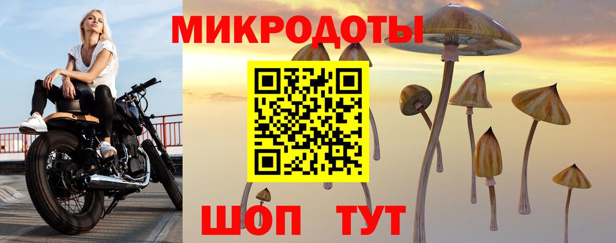 Псилоцибиновые грибы MAGIC MUSHROOMS Бугульма